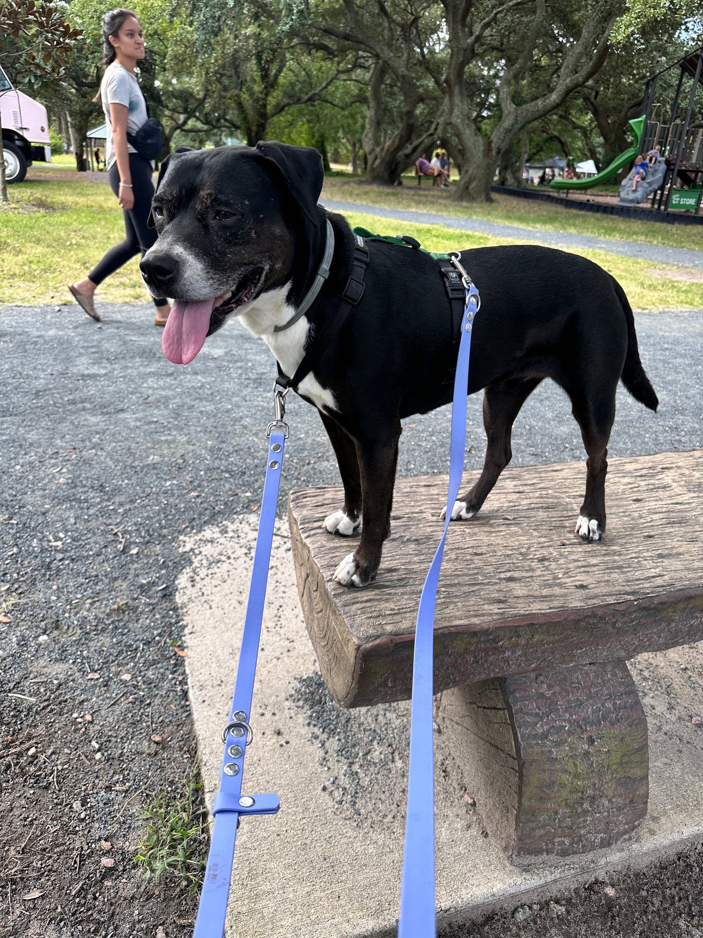 Eurolead - 8 Way Leash