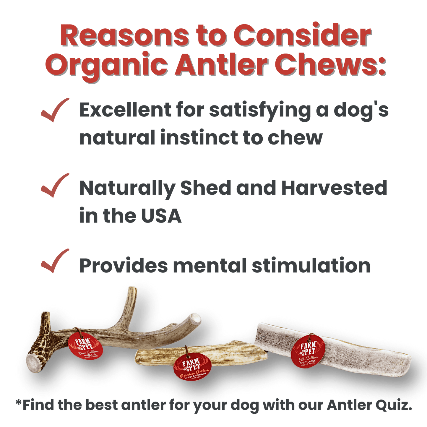ELK ANTLERS FOR DOGS | WHOLE AND SPLIT ELK ANTLER CHEWS