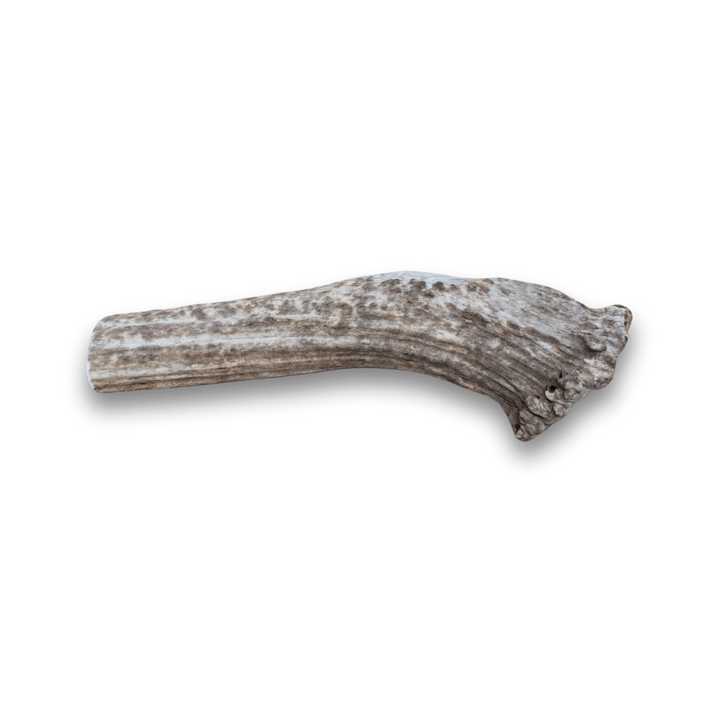 ELK ANTLERS FOR DOGS | WHOLE AND SPLIT ELK ANTLER CHEWS