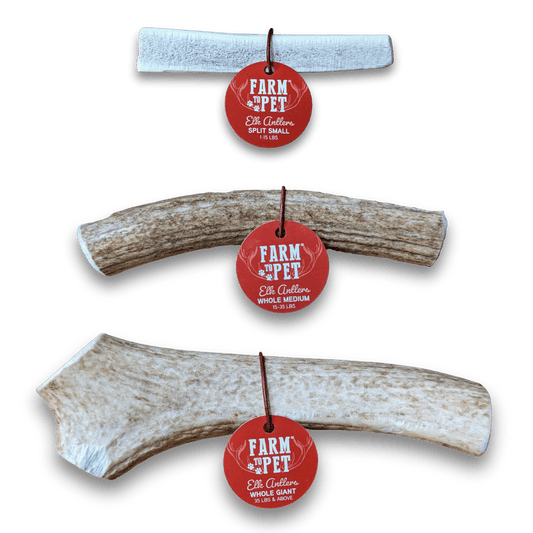 ELK ANTLERS FOR DOGS | WHOLE AND SPLIT ELK ANTLER CHEWS