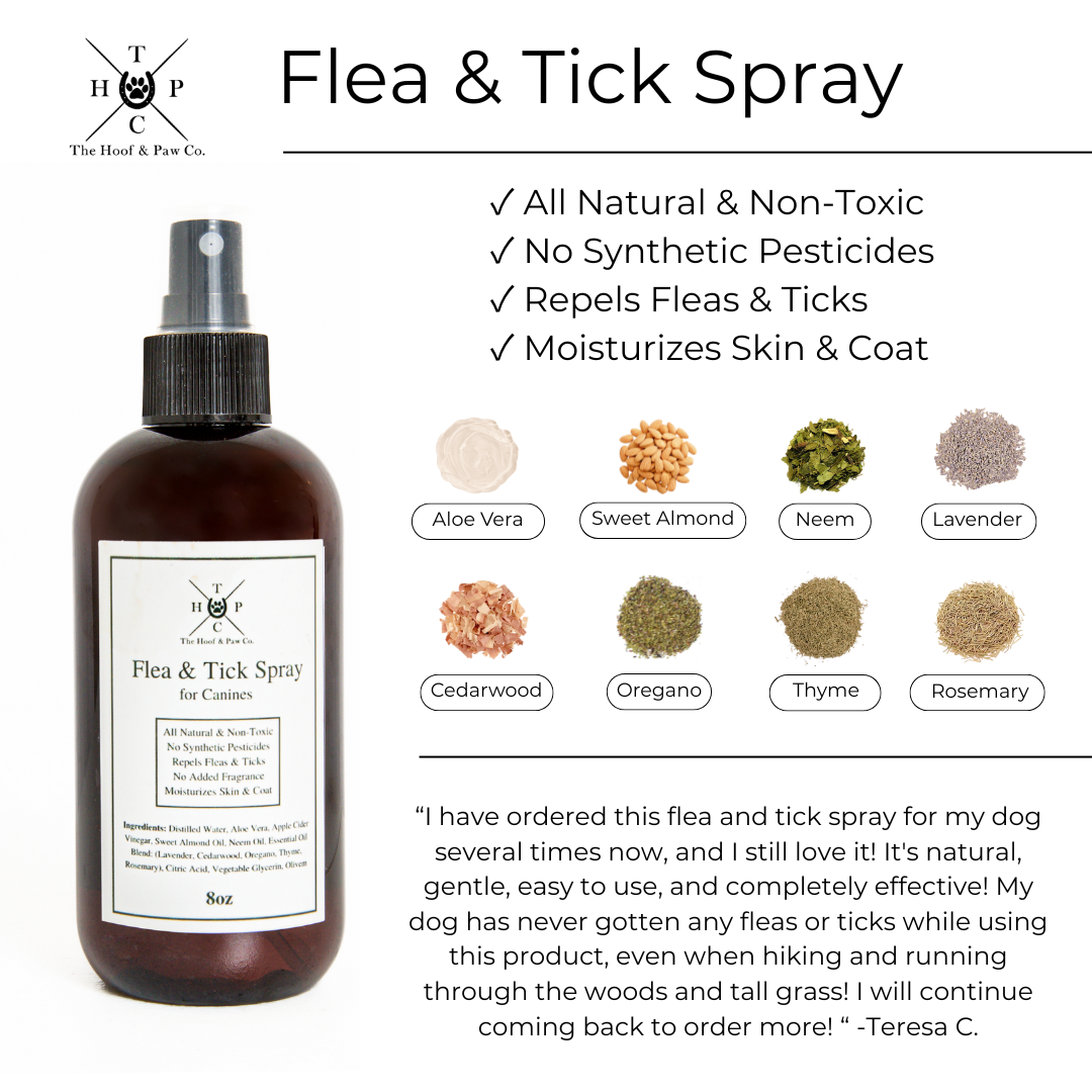 All Natural Flea & Tick Spray - For Dogs (8oz or 16oz)