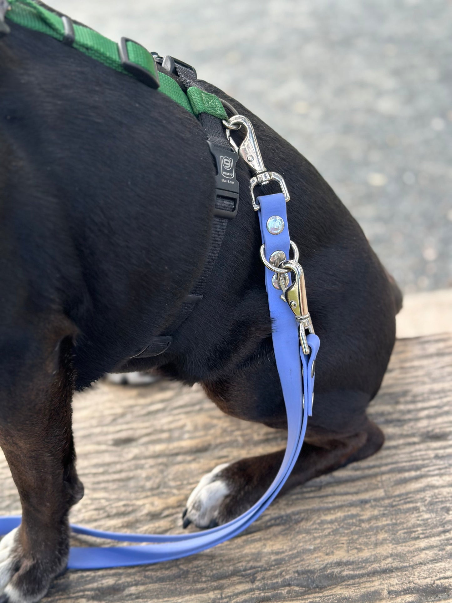 Eurolead - 8 Way Leash